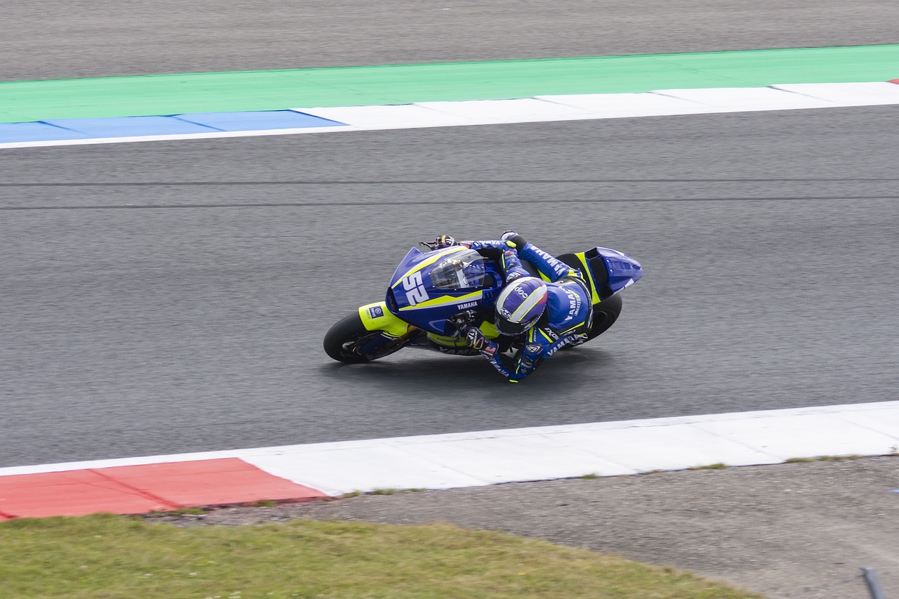 钦文需要关 钦文需要关