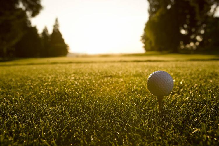 在各种国际 在各种国际