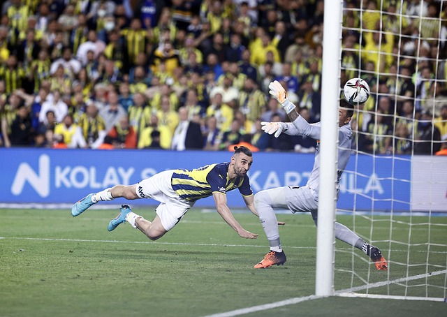 可能迫使其 可能迫使其